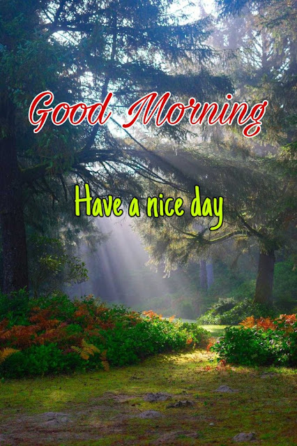 animated good morning nature images