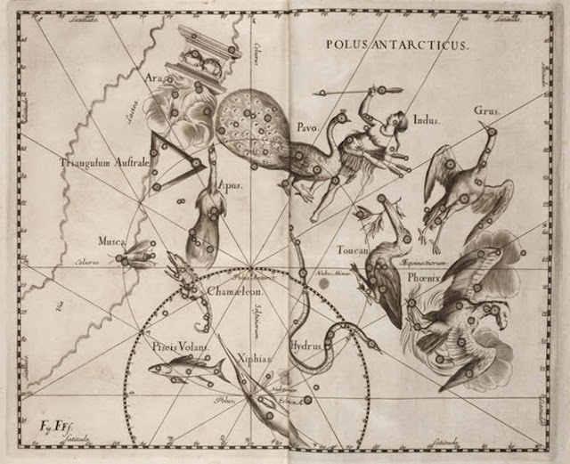 12 южных созвездий Хаутмана и Кейзера, изображенные в книге Иоганна Гевелия, Firmamentum sobiescianum, 1690 г. (Библиотека Линды Холл)