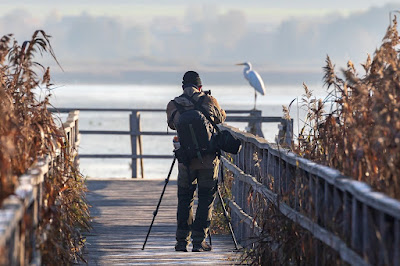 Photographer on walkway over the dunes at a beach