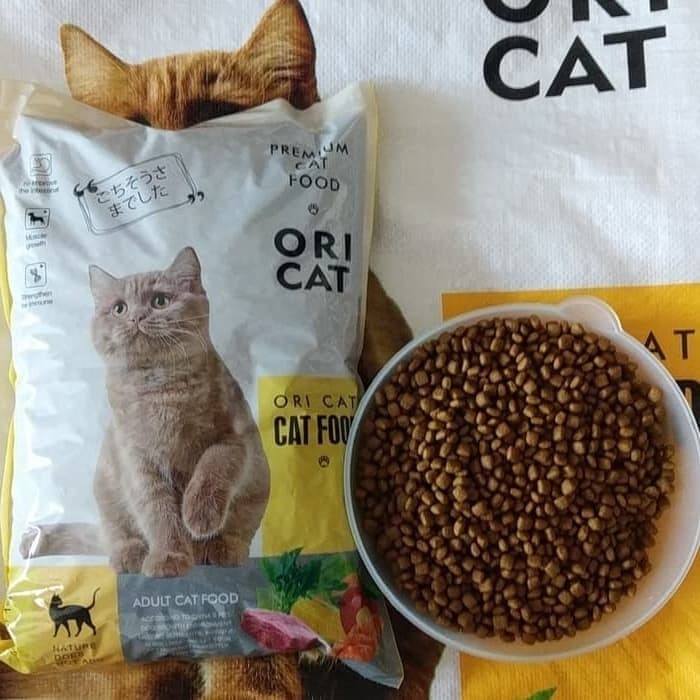 Review Makanan Kucing Ori Cat