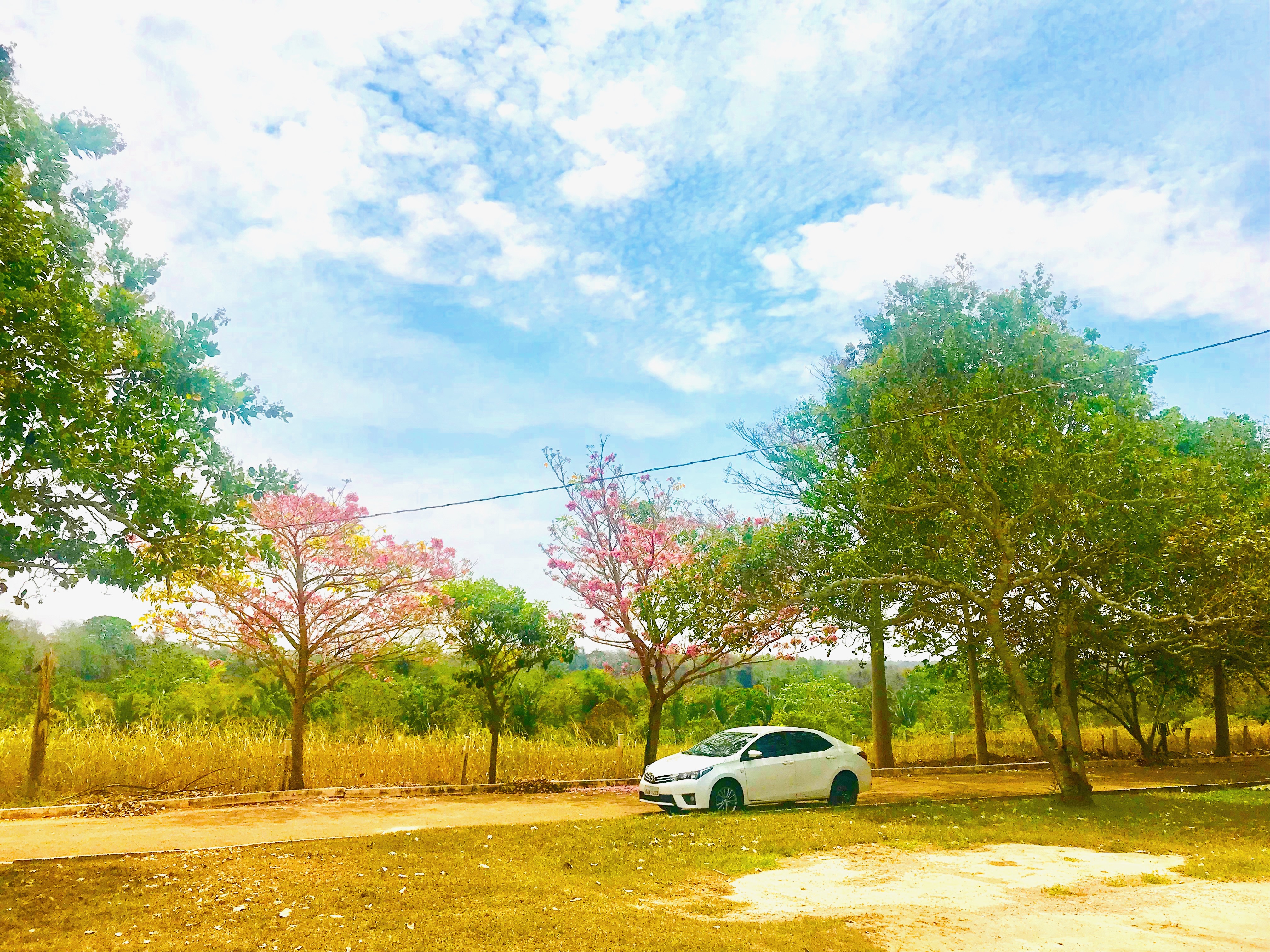 Unemat - Pontes e Lacerda | Mato Grosso