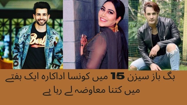 بگ باز سیزن 15 میں کونسا اداکارہ ایک ہفتے میں کتنا معاوضہ لے رہا ہے 