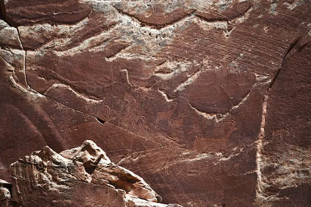 Hisatsinom Animal Petroglyphs