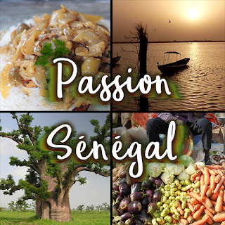 Passion Sénégal, le blog de la culture sénégalaise, pour vous aider à préparer votre voyage au pays de la Teranga - A propos de Passion Senegal