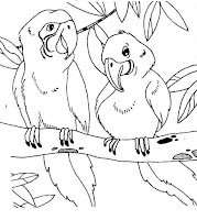 two parrots on a branch coloring sheet