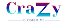 Crazy Blogger