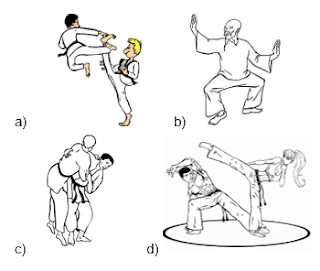 A Capoeira na sala de aula: Relações com a Educação Física e