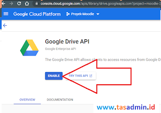 enable google drive api