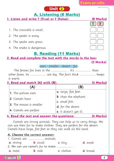 14 اختبار لغة انجليزية الصف الرابع الابتدائى الترم الأول حسب مواصفات الوزارة