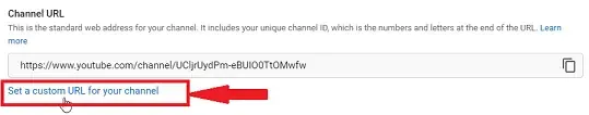 youtube channel ka custom url kaise banaye,youtube channel ka custom url set kaise kare,custom url setting youtube channel,youtube channel custom url