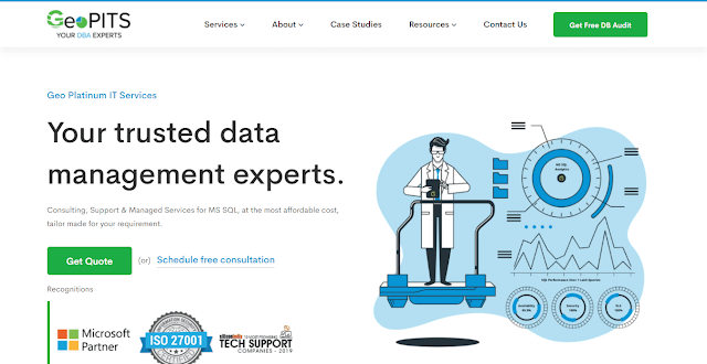 Geo Platinum IT Services official website homepage screenshot
