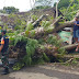 Babinsa Desa Kertalaharja Anggota Koramil 0708 Cikembar Serka Wawan Bantu Evakuasi Pohon Tumbang