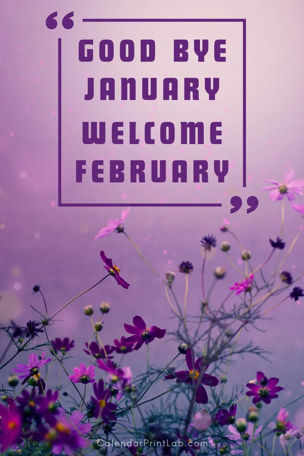 Goodbye January Welcome February