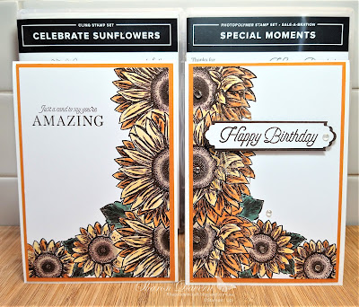 Rhapsody in craft, Pumpkin Pie, Jan-Jun Mini 2022, Celebrate Sunflowers, Stampin Blends, Thank you cards, Birthday Card, Special Momnets, Split card Technique, Lovely labels pick a punch, Stampin Up, #colourcreationsbloghop