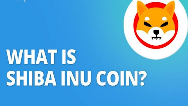 What is Shiba Inu and how does it work?