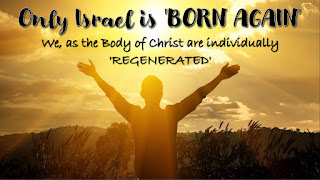 Who does the bible say are 'BORN AGAIN'