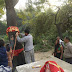 Ghazipur News : नीम के पेड़ से धुआं निकलने पर हो रहा भजन-कीर्तन, भूगर्भ विभाग करेगा जांच