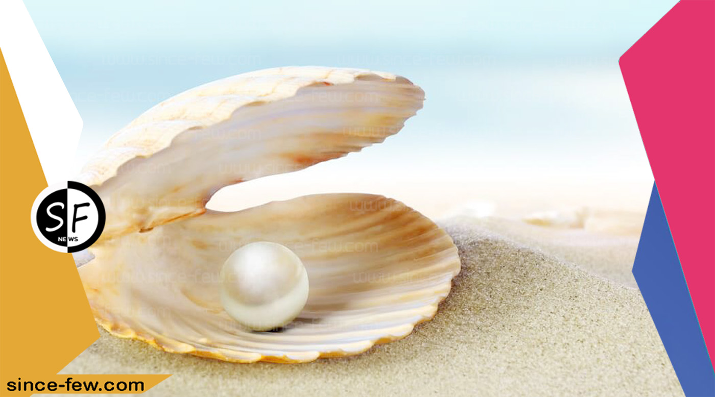 What is Extracted From Sea Shells?