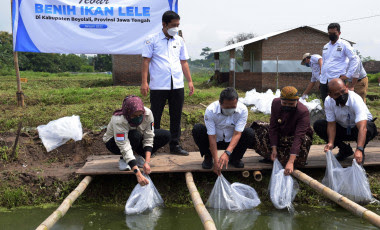 Kunjungi Kampung Lele di Boyolali, Ini Kata Trenggono