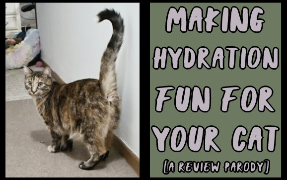 Making hydration fun for your cat [a review parody]