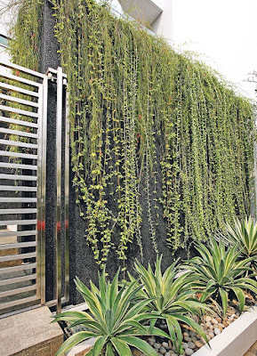 garden style - taman vertikal
