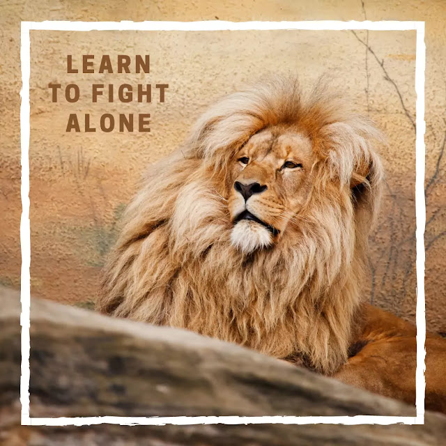 20+ Lion Whatsapp DP Images with Quotes