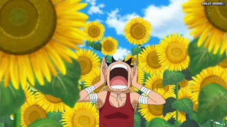 ワンピースアニメ ドレスローザ編 741話 ルフィ Monkey D. Luffy | ONE PIECE Episode 741