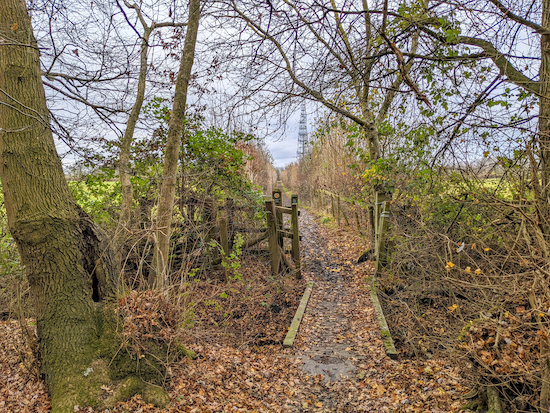 Leave the woodland via the small footbridge then head E