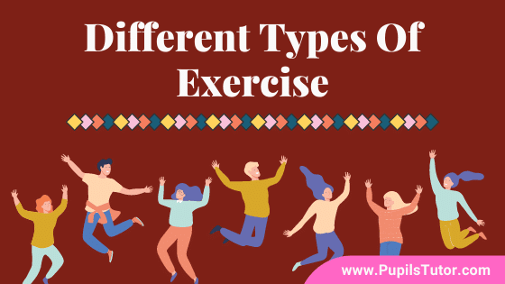 How Many Types Of Exercise Are There? | What Are The 2 Main Types Of Exercise - Describe Meaning, Concept Of Aerobic & Anaerobic Exercise With Example - www.pupilstutor.com