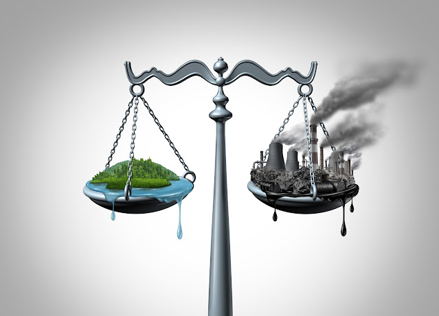 Environmental Law Compliance for Companies