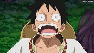 ワンピースアニメ WCI編 794話 ルフィ Monkey D. Luffy | ONE PIECE Episode 794