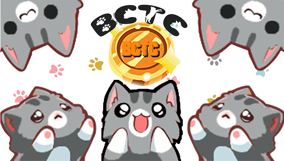 Miau reverse 1999