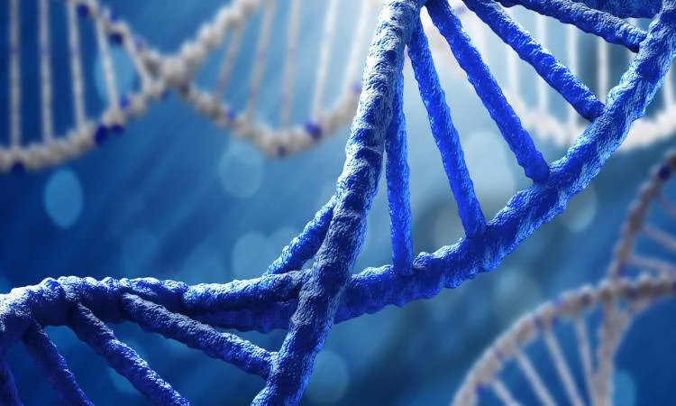 الحمض النووي «DNA» التعريف , التركيب , الاكتشافات الحديثة