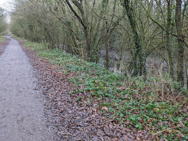 The muddy path adjacent to the River Crouch, visible through the treeline