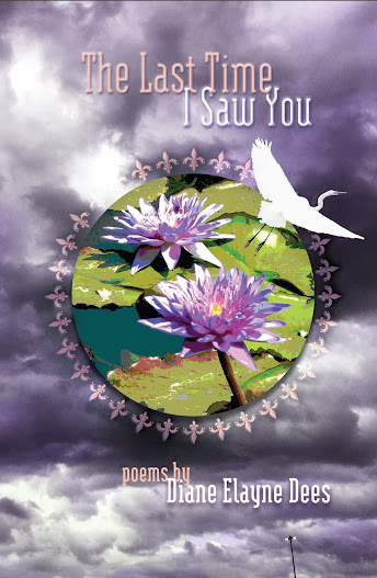 <i>The Last Time I Saw You</i> is available from Finishing Line Press (and Amazon)