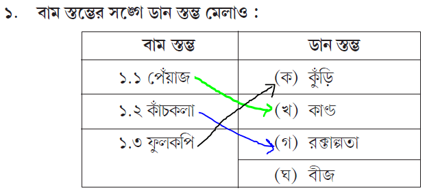 Class 3 Amader Poribesh 2022 Model Activity Task
