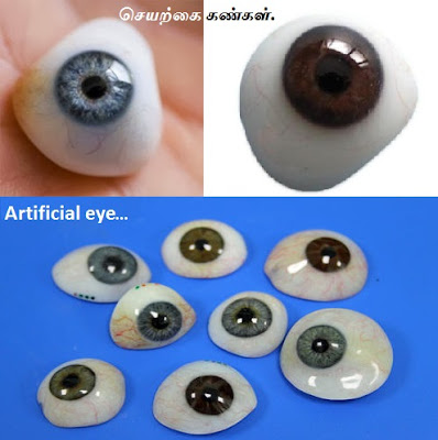 Artificial eye