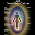 THE HUMAN ENERGY FIELD