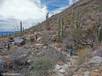 Photo of hikers on the Pima Canyon Trail