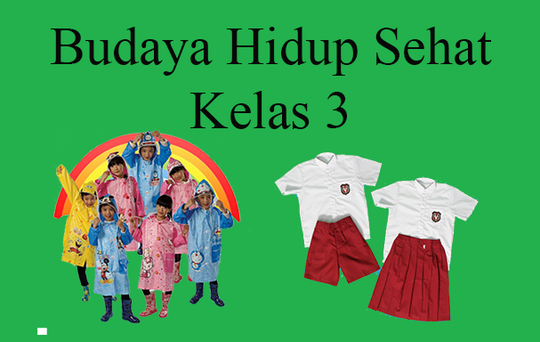 Soal Dan Kunci Jawaban PJOK Kelas 3 Semester 1 Tentang Budaya Hidup Sehat