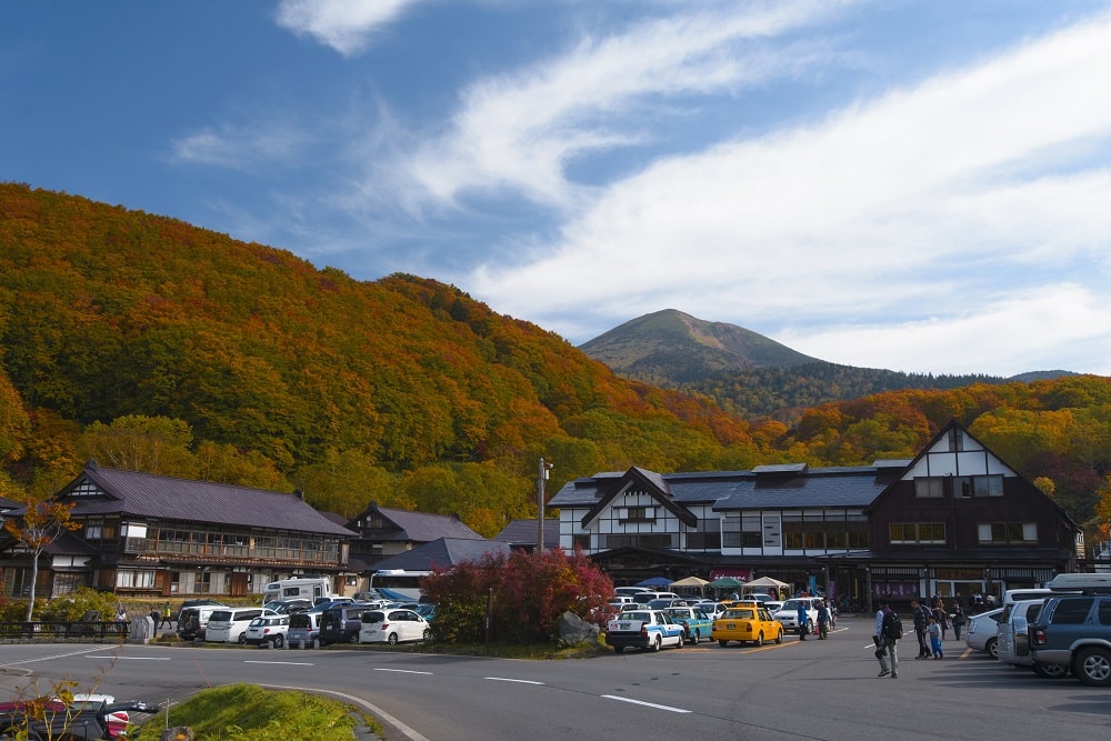 WHERE TO GO WHEN IN TOHOKU JAPAN?