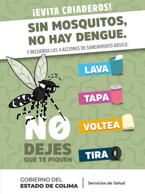 Sin Mosquitos ¡No hay Dengue!