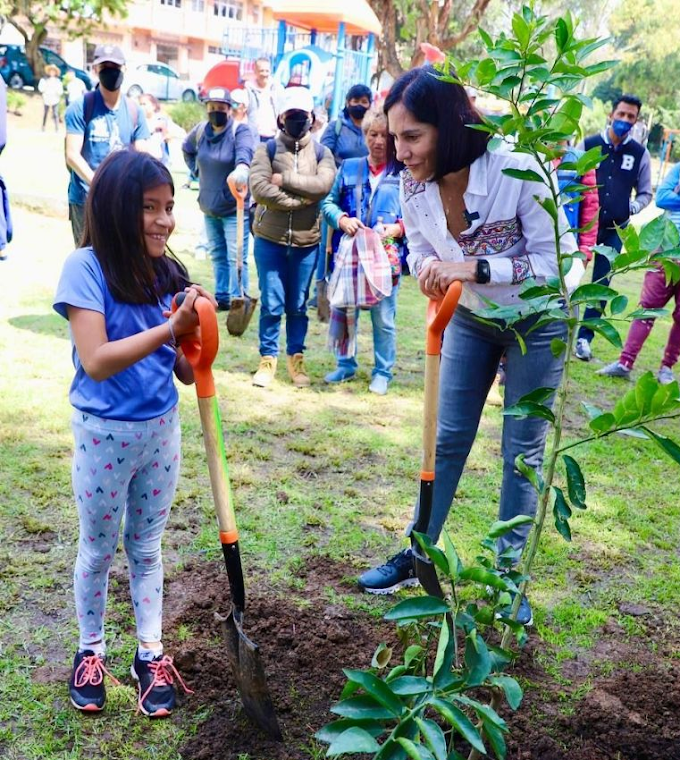 Lía Limón encabeza campaña de reforestación