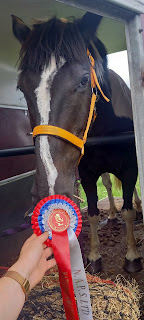 Yay rosette