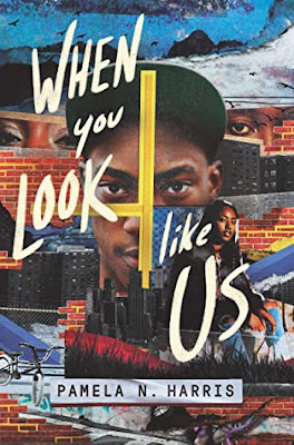 cover of "When You Look Like Us"