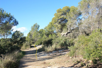 CIMS I COTES DEL BAIX PENEDÈS - BELLVEI AL CASTELL DE LA MUGA, corriol en direcció a La Muga, per l'antic camí de carro, Ruta-1