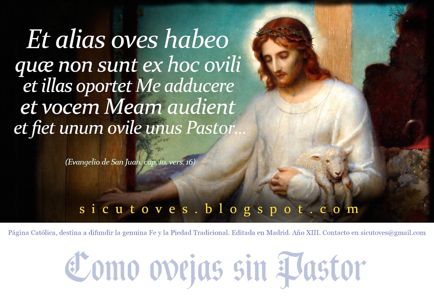 Como ovejas sin Pastor