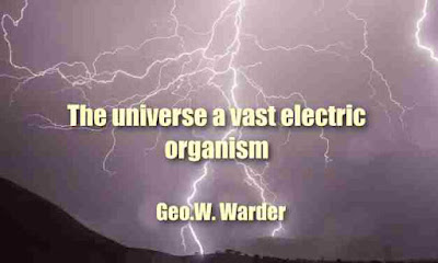 The universe a vast electric organism