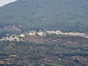 Pinos del Valle