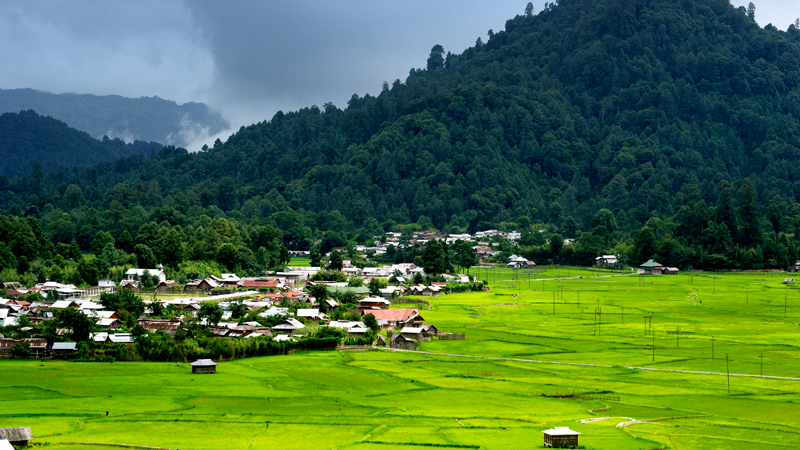 Ziro